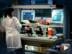 D4 Featured on NCIS
